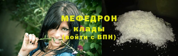 ешки Бородино