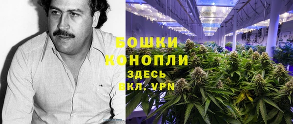ешки Бородино