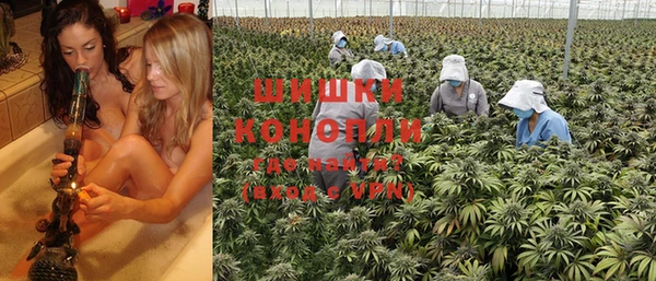 амф Бронницы
