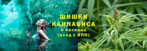 ПСИЛОЦИБИНОВЫЕ ГРИБЫ Бугульма