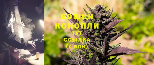 ПСИЛОЦИБИНОВЫЕ ГРИБЫ Бугульма