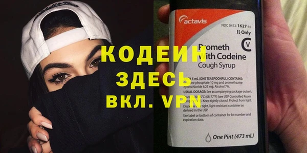 ешки Бородино