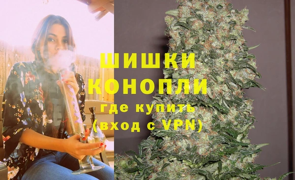 амф Бронницы