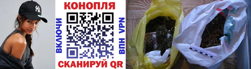 Каннабис планчик  Ачхой-Мартан 